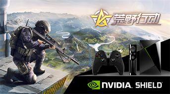 荒野行动最新爆料殿堂视频,殿堂视频揭秘神秘内容  第2张